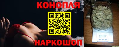 jwh Будённовск