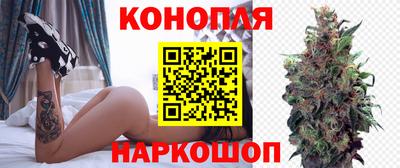стафф Волгодонск