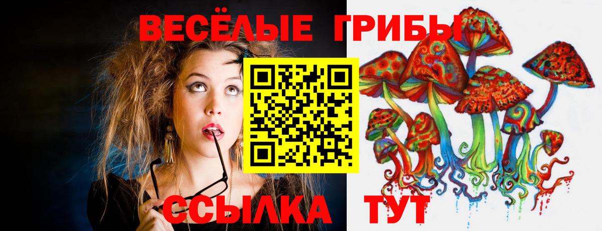 Галлюциногенные грибы Psilocybe Нижнекамск